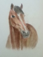 /album/quintas-drawings/a157-jpg/