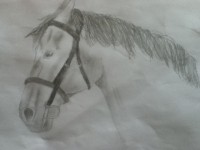 /album/quintas-drawings/img-0668-jpg/